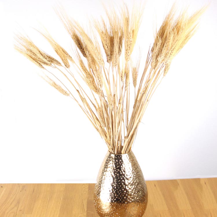 Gedroogd tarwe gebleekt - 50 cm