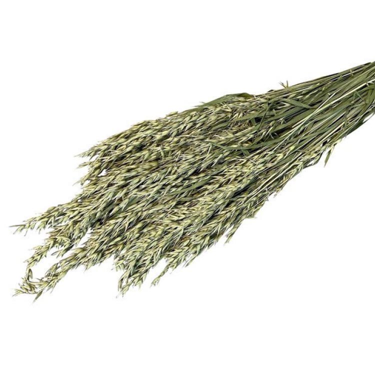 Gedroogd Haver - Naturel