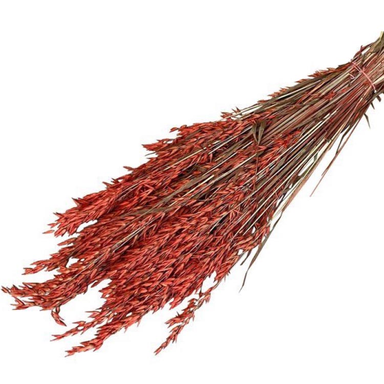 Gedroogd Haver - Rood