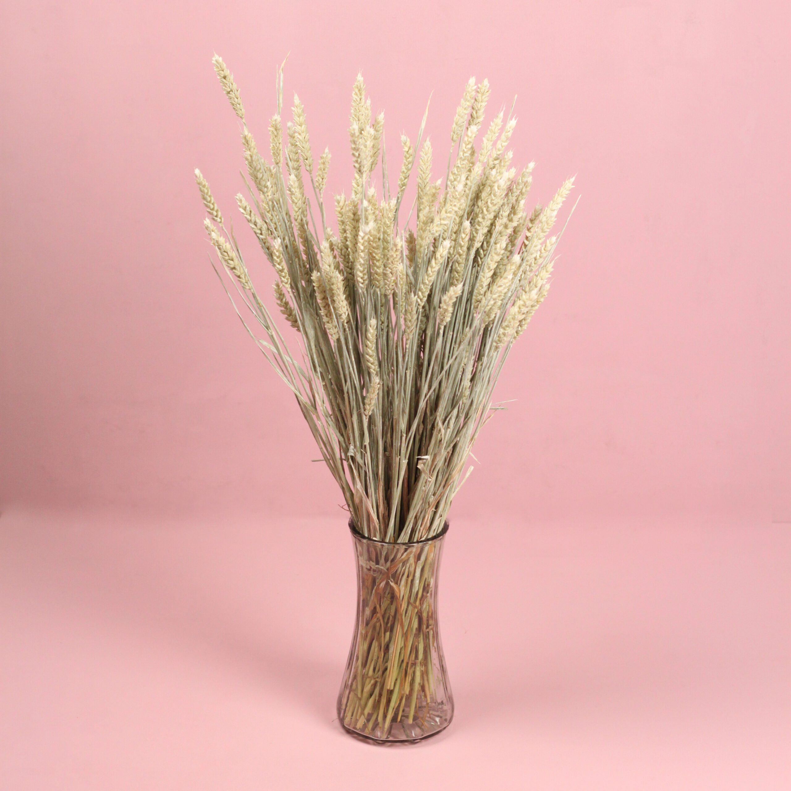 Gedroogd Tarwe - Naturel