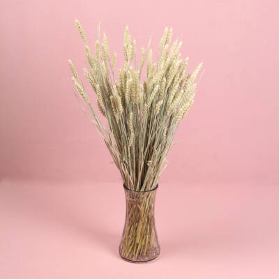 Gedroogd Tarwe - Naturel