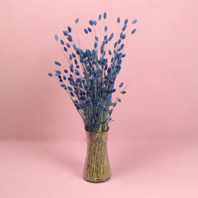 Gedroogd Phalaris - Blauw