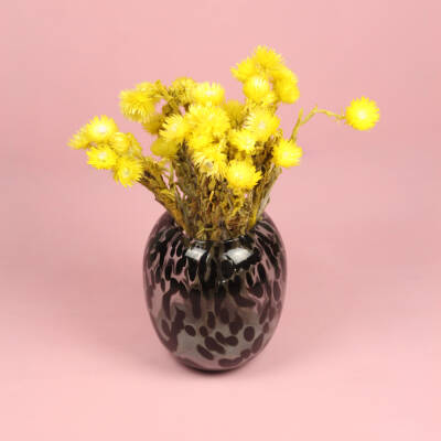 Kaapse Bloemen - Geel