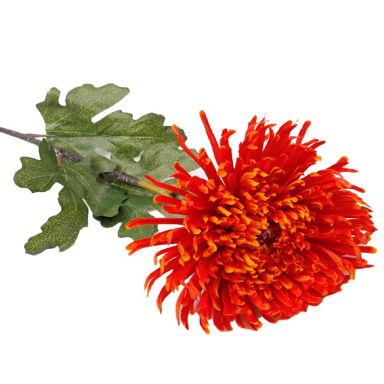 chrysant oranje