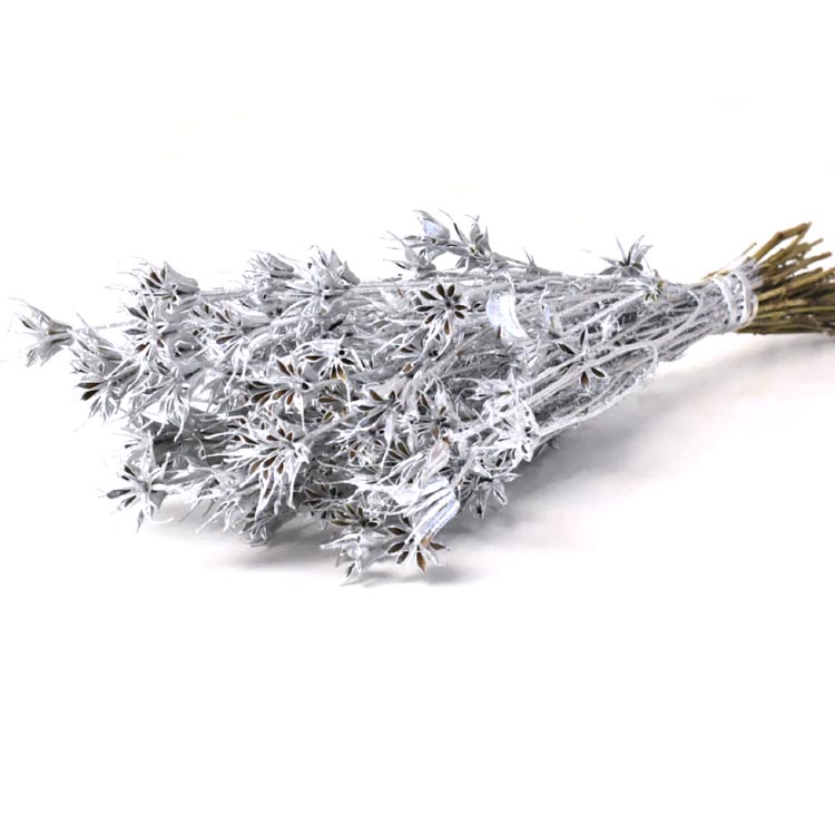 Gedroogde Nigella - Zilver - 50 cm