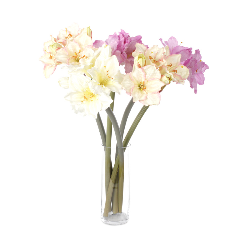 Amaryllis XXL - Crème - 92cm - Afbeelding 2