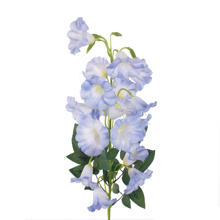 campanula klokjesbloem lichtblauw