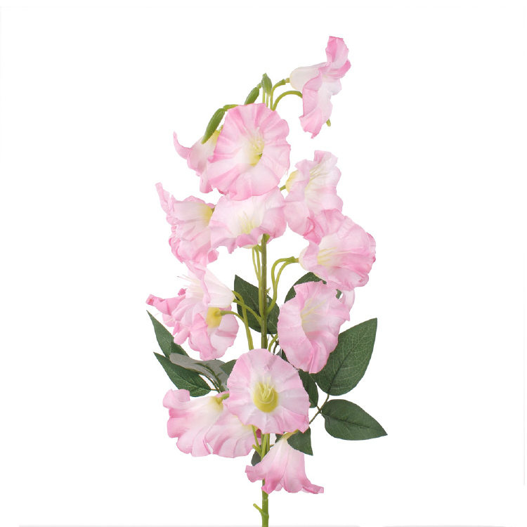 campanula klokjesbloem roze