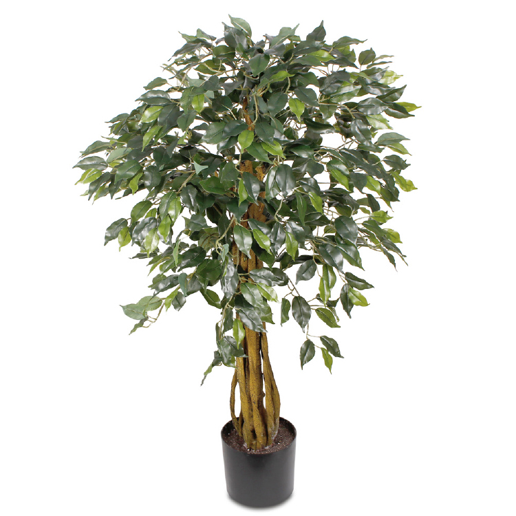 Ficusboom 130cm