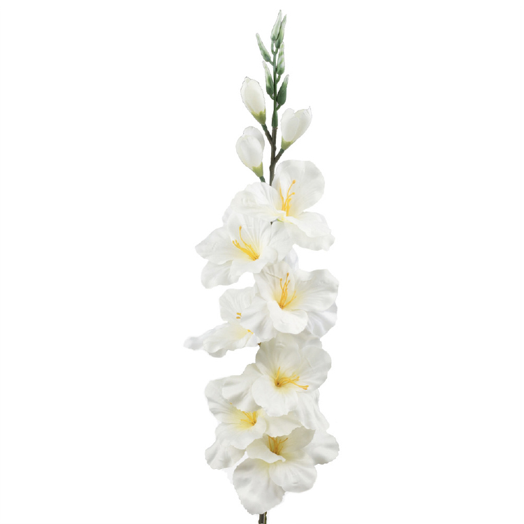 gladiool wit 80cm
