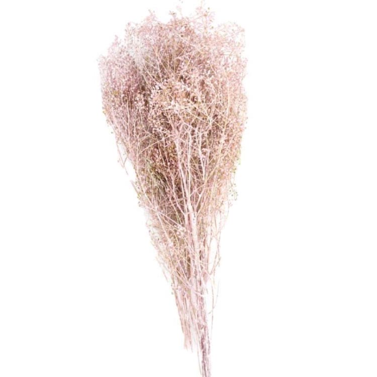 lupidium light pink
