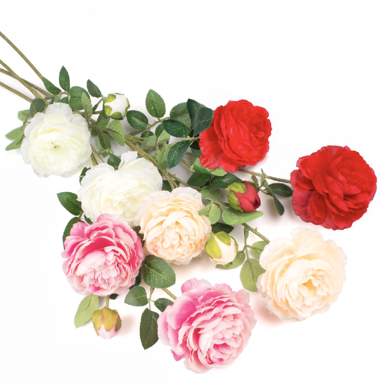 Pioenroos - Créme/Roze - 77cm - Afbeelding 2