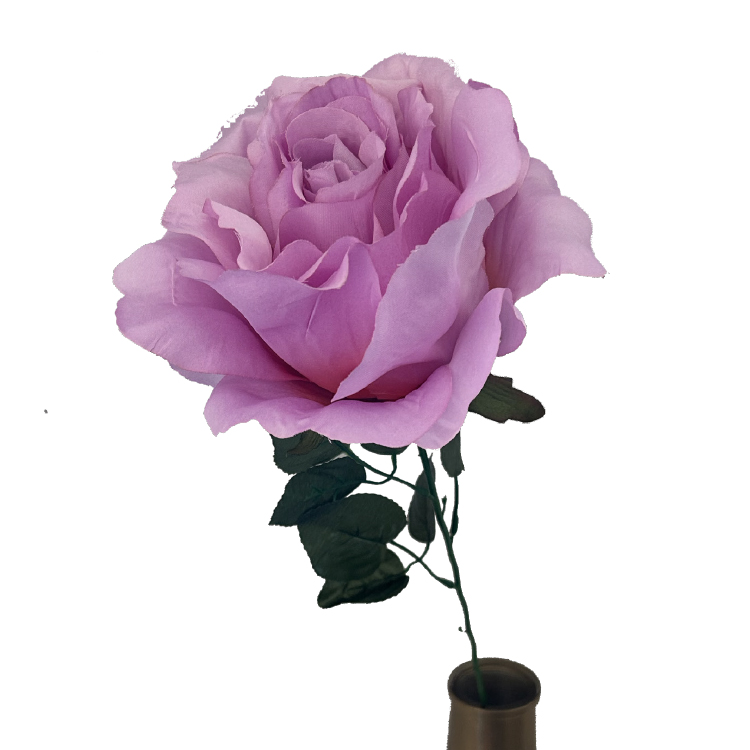 Roos-XXL-Lila