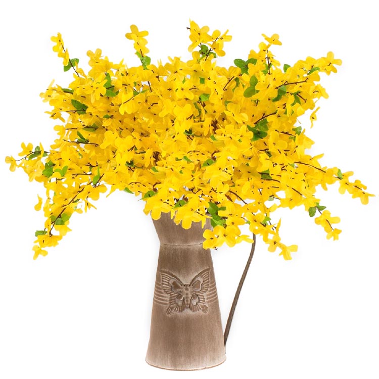 Forsythia Geel - Afbeelding 2