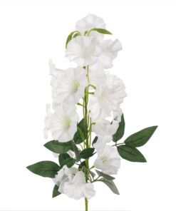 campanula klokjes bloem wit