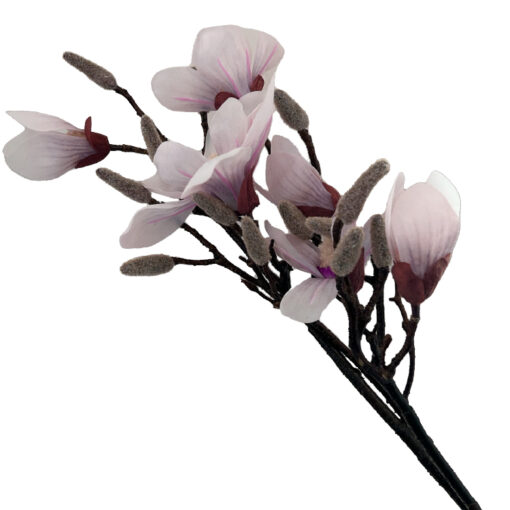Magnolia-Roze