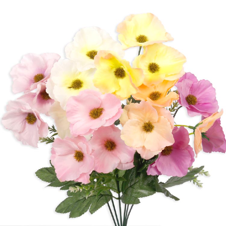 Anemoon Geel - Afbeelding 2