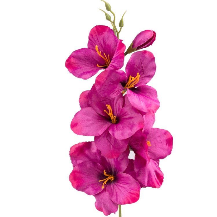 Gladiool Burgundy/Fuchsia 54cm