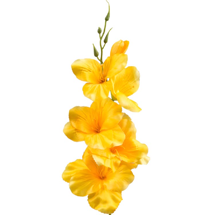 Gladiool Geel 54cm