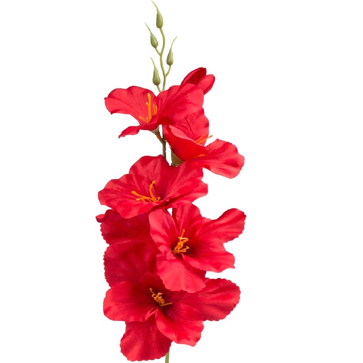 Gladiool Rood 54cm