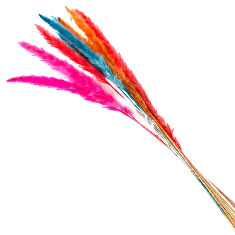 Bosje gekleurde pluimpjes