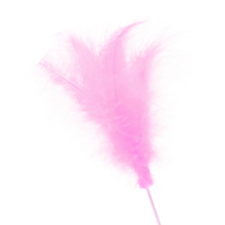 roze sier veertje op stok
