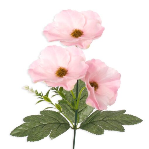 anemoon roze