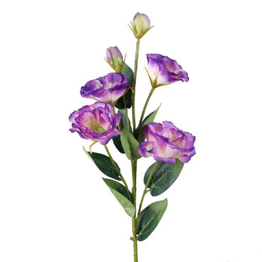 eustoma lisanthus paars