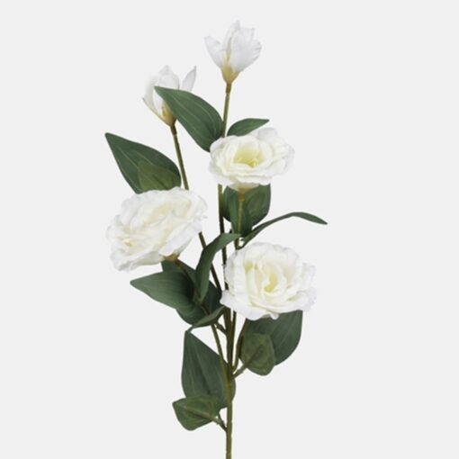 Lisianthus Wit creme