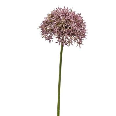 Kunstbloem Allium/Sierui - Lila - 62cm