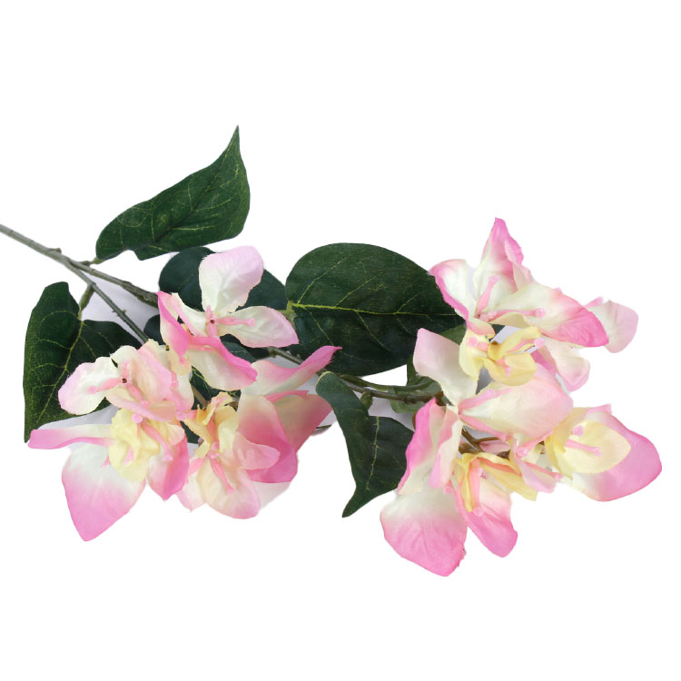 Bougainvillea - roze/geel - 74cm