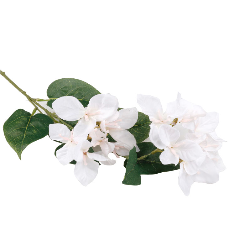 Bougainvillea - wit - 74cm
