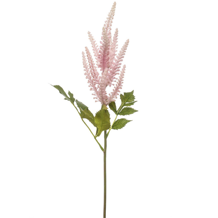 Astilbe/Pluimspirea, Roze, 90cm