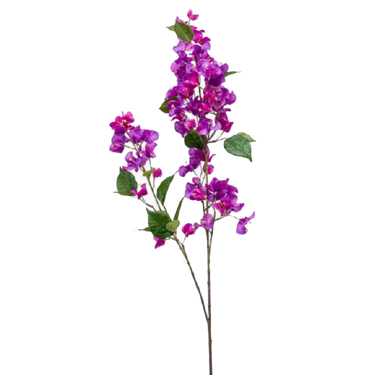 Bougainvillea - paars - 117cm
