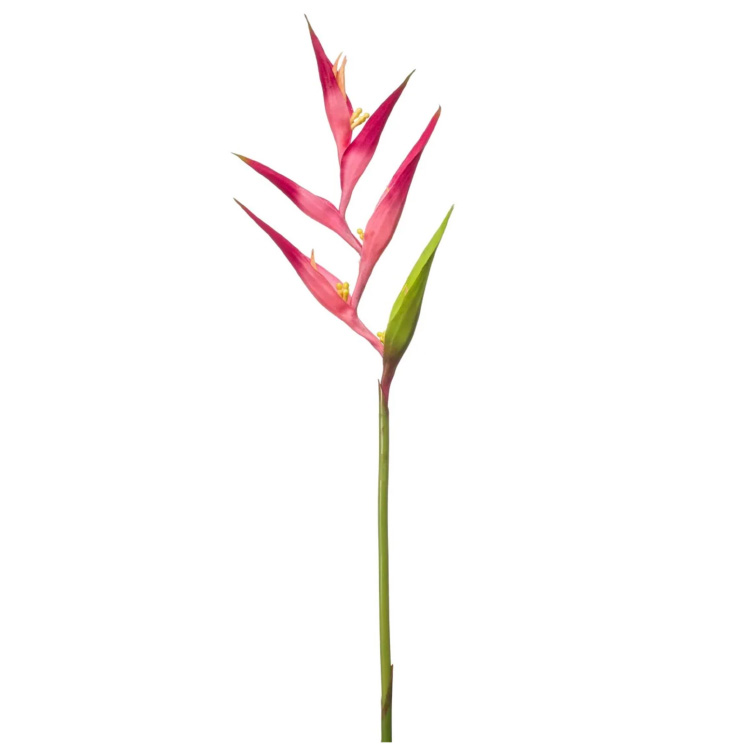Heliconia - Fuchsia - 120cm