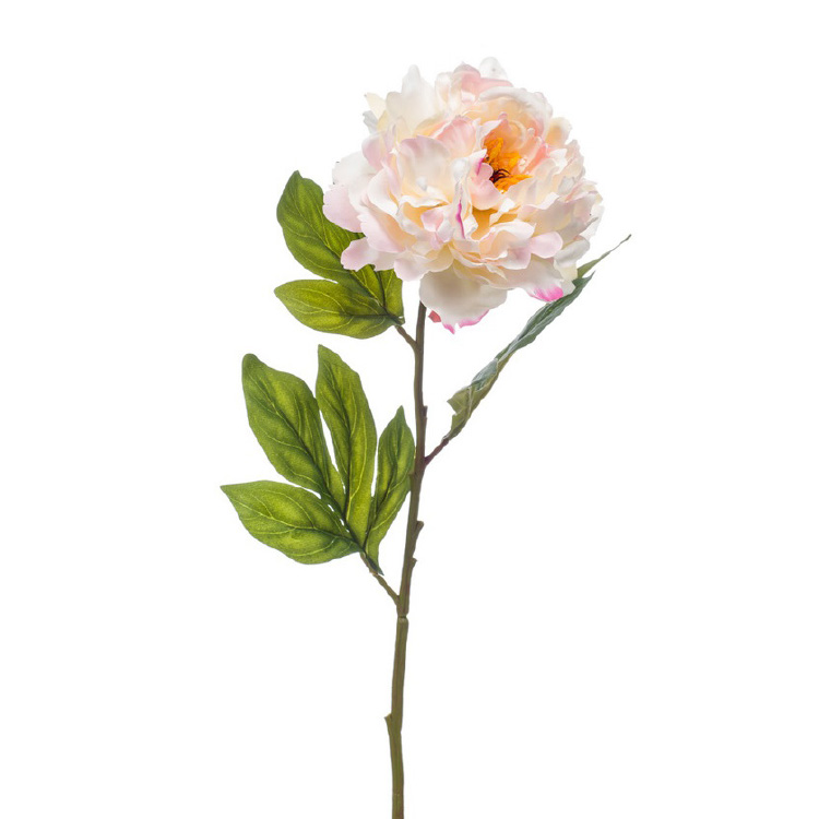 Pioenroos - Roze - 56cm