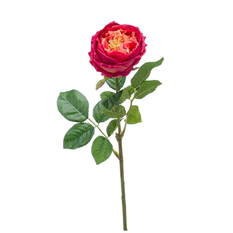 Roos Beauty Jenny Real Touch - Fuchsia - 60cm