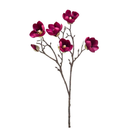 Magnolia - Bordeaux - 65cm