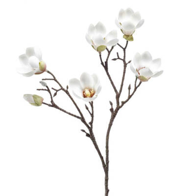 Magnolia - Crème - 65cm