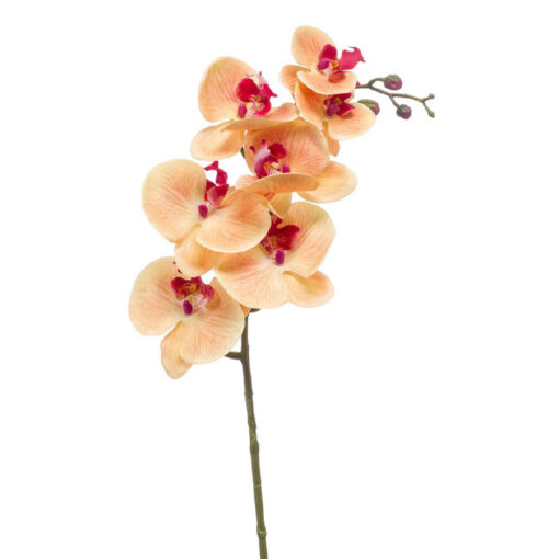 Phalaenopsis/Orchidee, real touch - Perzik
