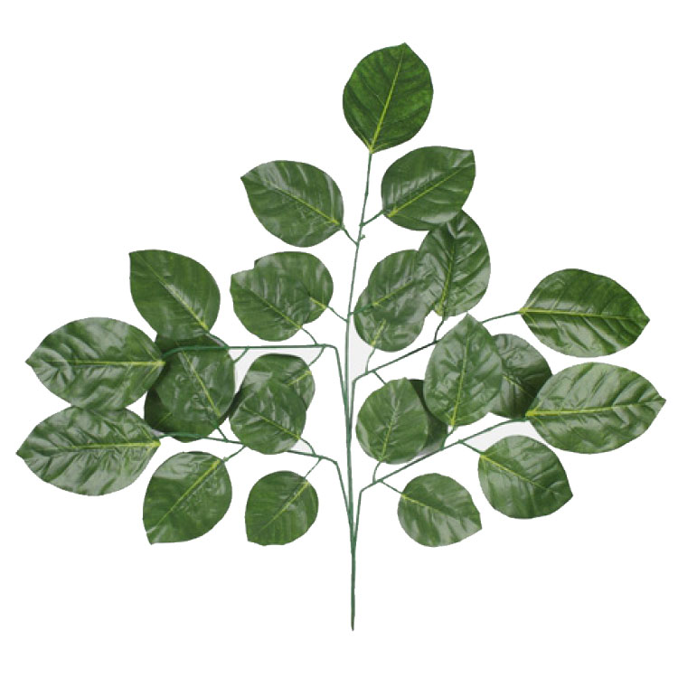 Beukenblad-tak - 78cm