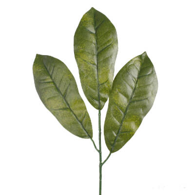 Crotonbladeren- 43cm