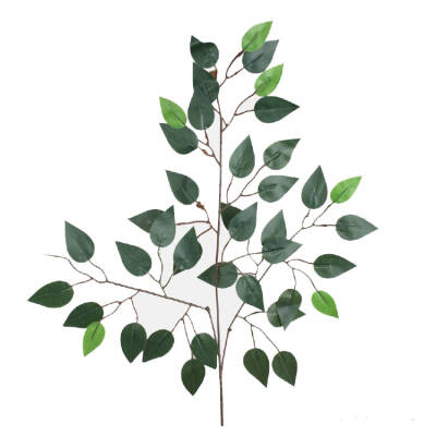 Ficusblad-tak - 61cm