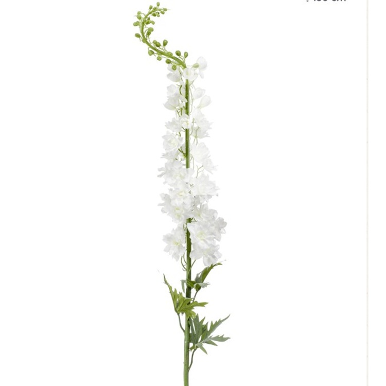 Delphinium - Wit - 128cm