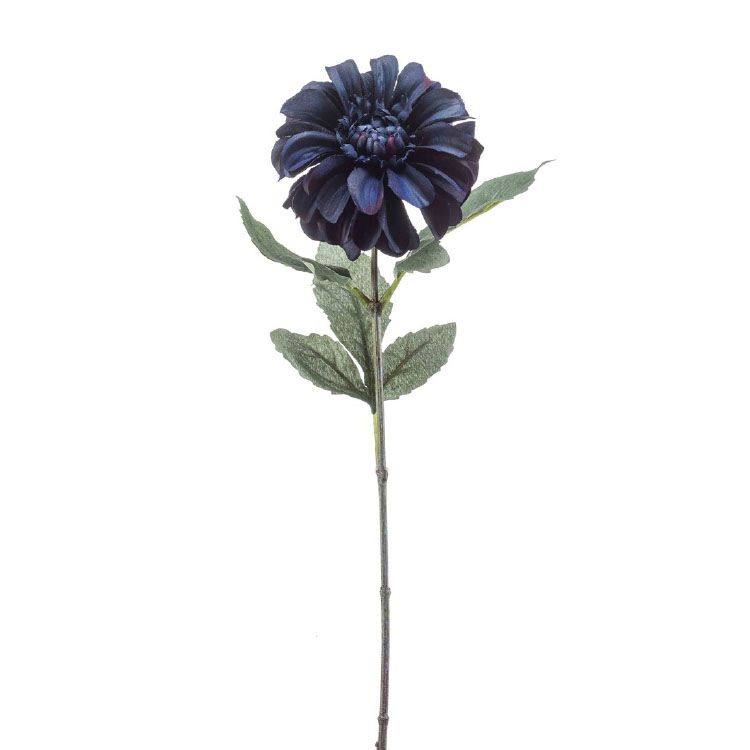 Zinnia Donkerblauw - 57cm
