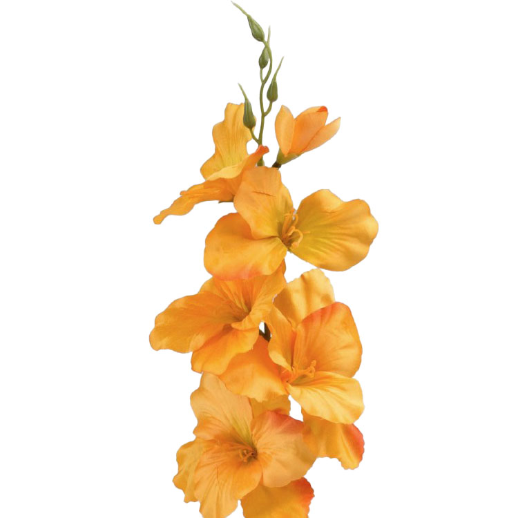 Gladiool Oranje - 54cm