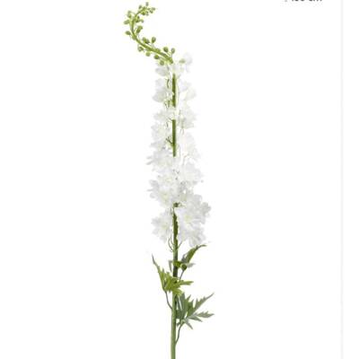 Delphinium - Wit - 128cm