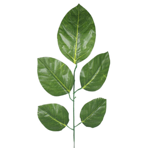 Ficus - kunsttak - 5 - bladeren