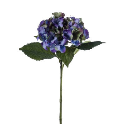 Hydrangea (Hortensia) Blauw - 53cm