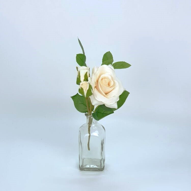 Glazen vaasje met zalmkleurige roos